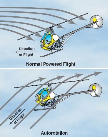 Autorotation - Wikipedia