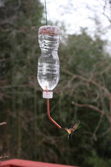 Diy Homemade Hummingbird Feeder Ideas To Attract Them To Your Home