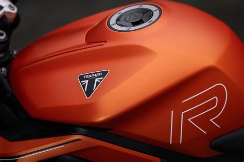 Bold New 2025 Triumph Motorcycles Arrive Total Motorcycle