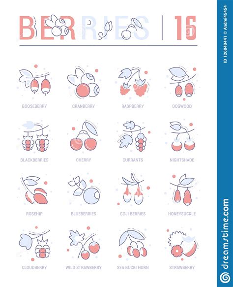 Set Blue Line Icons Of Berries Stock Illustration Illustration Of