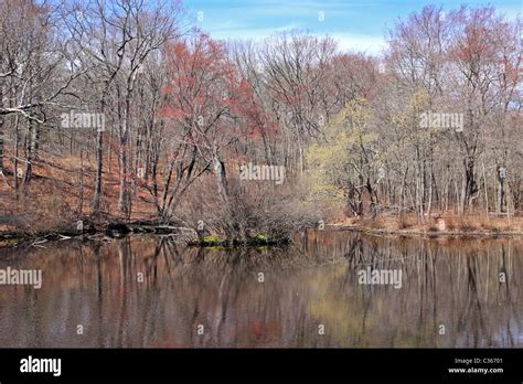 Pond At Caleb Smith State Park Smithtown Long Island Ny Stock Photo