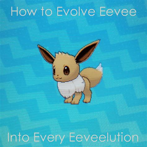 Pokémon Ultra Sun And Ultra Moon Eevee Evolution Guide Levelskip