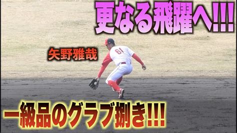 華麗なゴロ捌き！矢野雅哉の内野ノック！カープ広島キャンプ Youtube