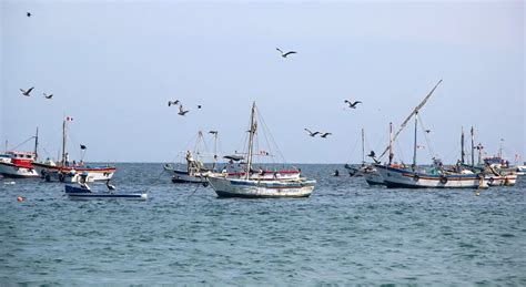 Pcm Aprueba Creaci N De Reserva Nacional Mar Tropical De Grau