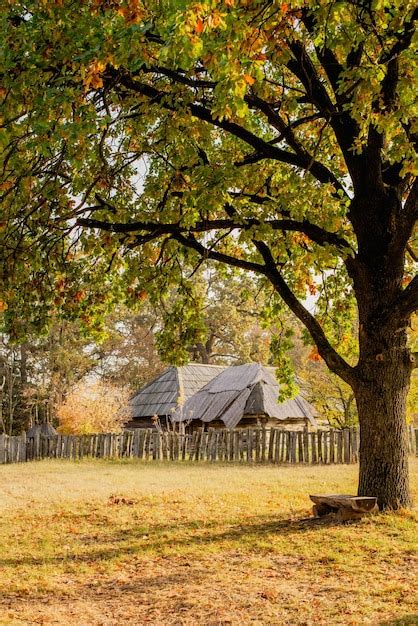 Premium Photo Ukrainian Wooden Hut Traditional Ukrainian House