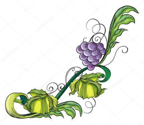 Grapevine Border Cliparts | Free download on ClipArtMag