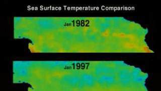 NASA SVS El Niño Sea Surface Temperature Anomaly Comparison 1982