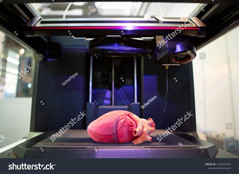 8,151 Organ printing Images, Stock Photos & Vectors | Shutterstock