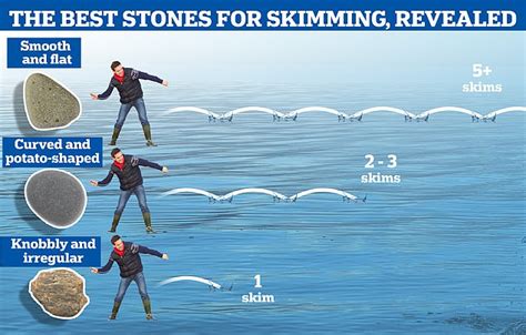 The Secret To Stone Skimming Pick Flat Round Stones For Bounces And