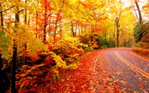 Fall Leaves Desktop Wallpapers - Wallpaper Cave