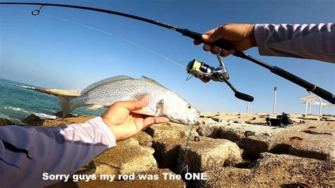 Catch Croaker Using Ultra Light Set Up Shimano Nexave The One