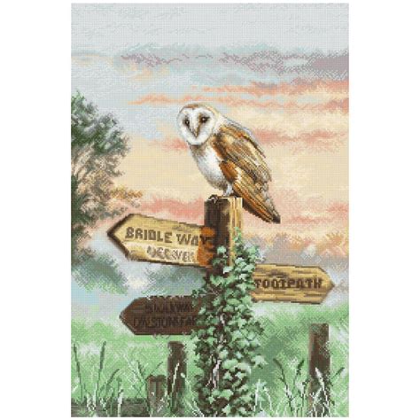 Leti Stitch Barn Owl Borduren Pakket L Doezelf Nl