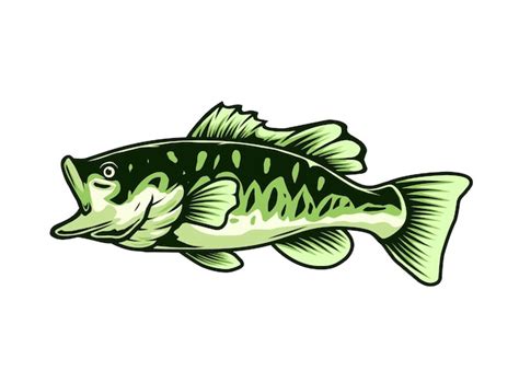 Premium Vector Largemouth Bass Fish Illustration