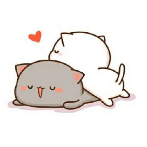 gatitos enamorados 💞
