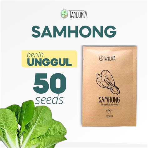 Jual Tanduria Benih Super Sawi Samhong Sayur Bibit Biji Sayur Sayuran