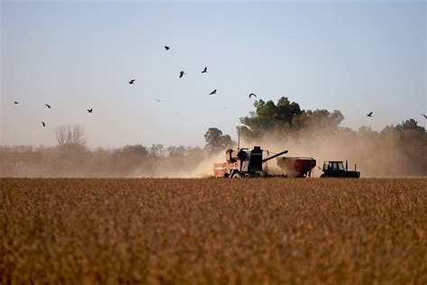 La Pulseada Del Agronegocio Por Las Retenciones Y La Voz De Los