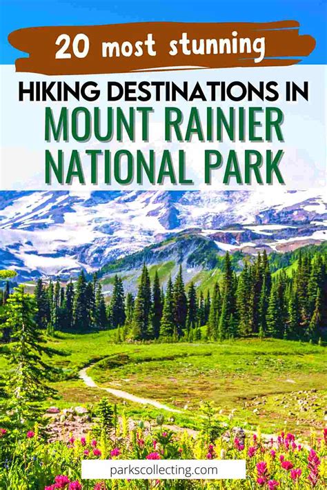 20 Best Hikes In Mount Rainier National Park