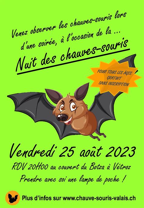 Nuit Des Chauves Souris Evenement Public Gratuit Et Sans