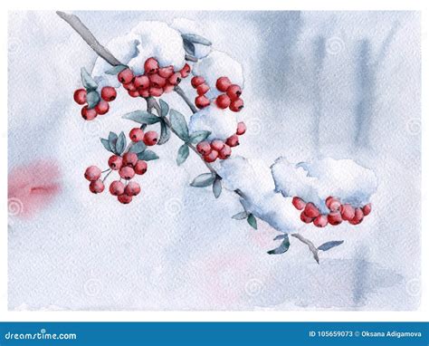 Rowan Branch Under The Snow Christmas Card Stock Illustration