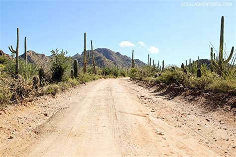 Beautiful Things To Do In Saguaro National Park Artofit