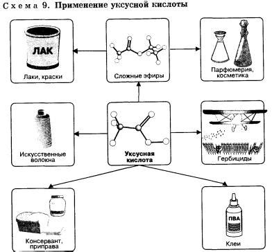 Карбоновые кислоты (Химия 10 класс) — Гипермаркет знаний