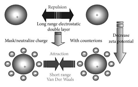 Schematic View Of The Particles Interactions In An Aqueous Suspension