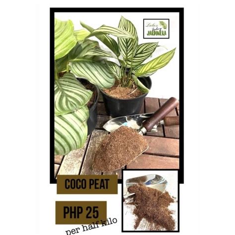 500gms COCO PEAT Soil for Plants | Lazada PH