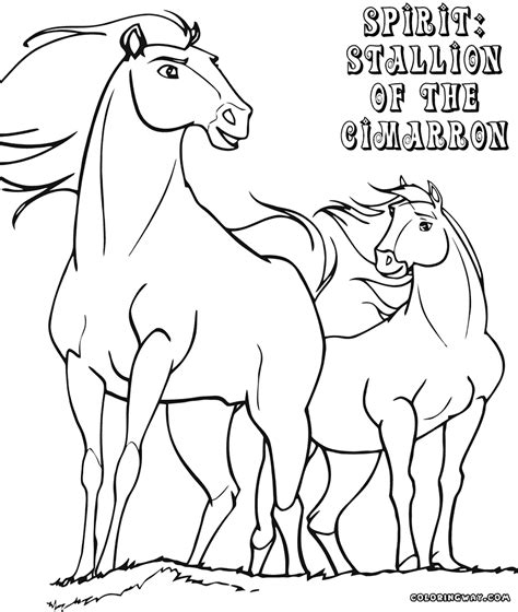 Stallion Coloring Pages Coloring Pages