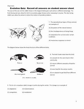 50 Types Of Natural Selection Worksheet