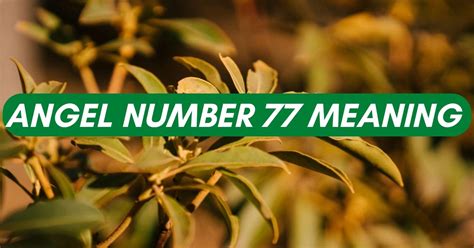 Angel Number 77 Meaning Symbolism And Spiritual Interpretation