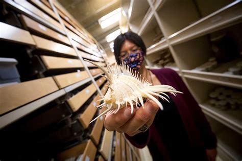 The Underwater Library At Scripps Institution Of Oceanography