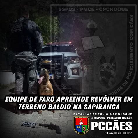 Cão Farejador Da Pmce Localiza Revólver Em Terreno Baldio Na Sapiranga