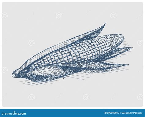 Ear Of Corn Hand Drawn Blue Sketch Raster Stock Illustration