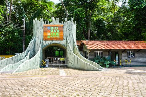 Bioparque Da Amaz Nia Celebra Anos De Macap Programa O