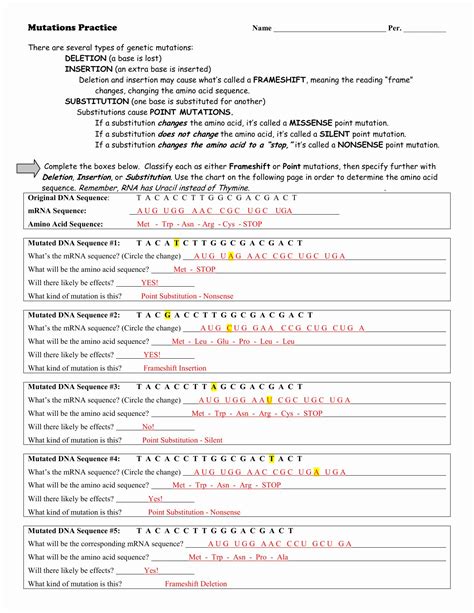 Mutations Worksheet Part Gene Mutations