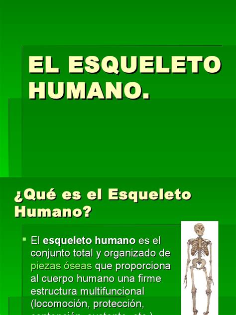 Pdf El Esqueleto Humano Ppt Dokumen Tips