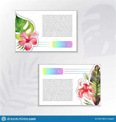 Set Of Watercolor Backgrounds Two Cards With Green Tropical Leaves Of