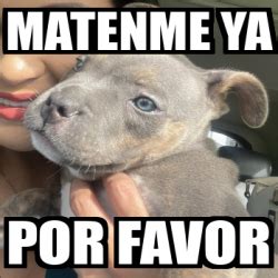 Meme Personalizado MATENME YA POR FAVOR 33079828