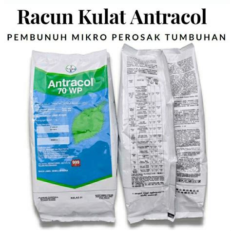 Kg Racun Kulat Bayer Antracol Wp Propineb Fungicide Powder