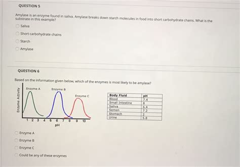 Solved QUESTIONS Amylase is an enzyme found in saliva. | Chegg.com