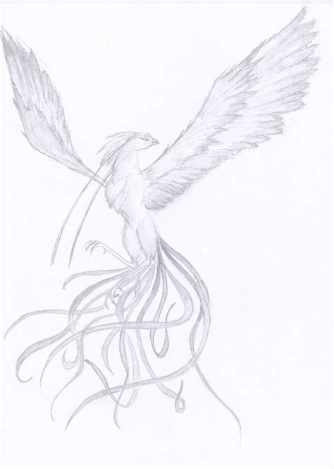 Phoenix Bird Sketch At PaintingValley Explore Collection Of