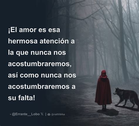 El Amor Es Esa Hermosa Atenci N A La Que Nunca Nos Acostumbraremos