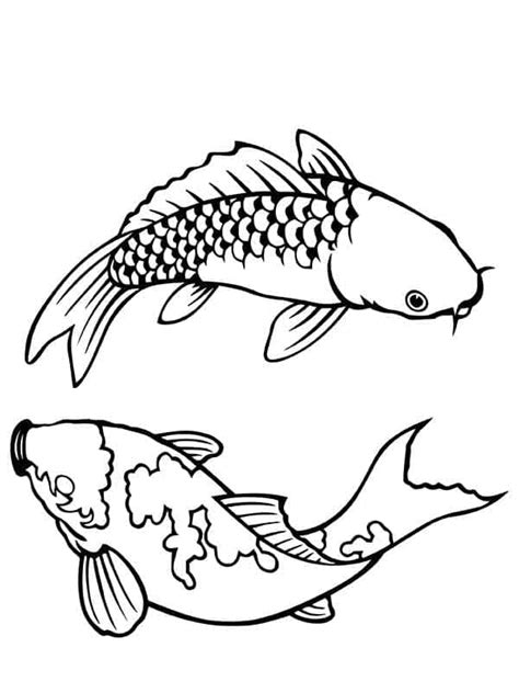 Dibujos De Peces Koi Gratis Para Colorear Para Colorear Pintar E