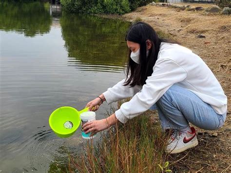 前鎮高中師生調查林園溼地水母 獲國際虛擬科學研討會4星滿分 生活 中時