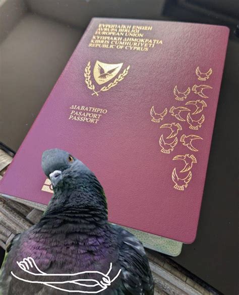 What S Going On With The Birds On The Passport Does It Represent Something What S Your