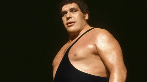 Andre The Giant News Videos And Biography