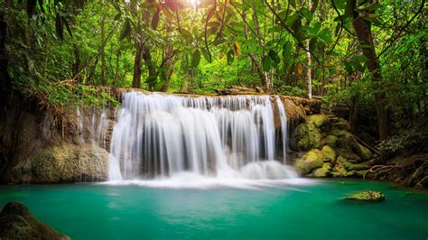 Wallpaper Air Terjun Sungai Batuan Pohon Pemandangan Alam Gambar Imagesee