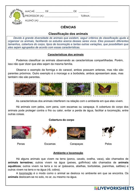 Classifica O Dos Animais Interactive Worksheet For Ano You Can Do