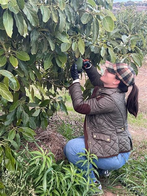 Agropeco Felicita A Los J Venes Agricultores Y Ganaderos De La