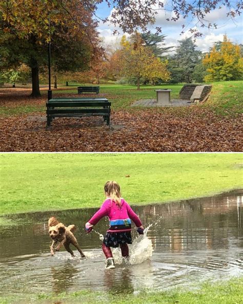 Wallen Road Reserve and Fairview Park & Playground - Mum's Little Explorers